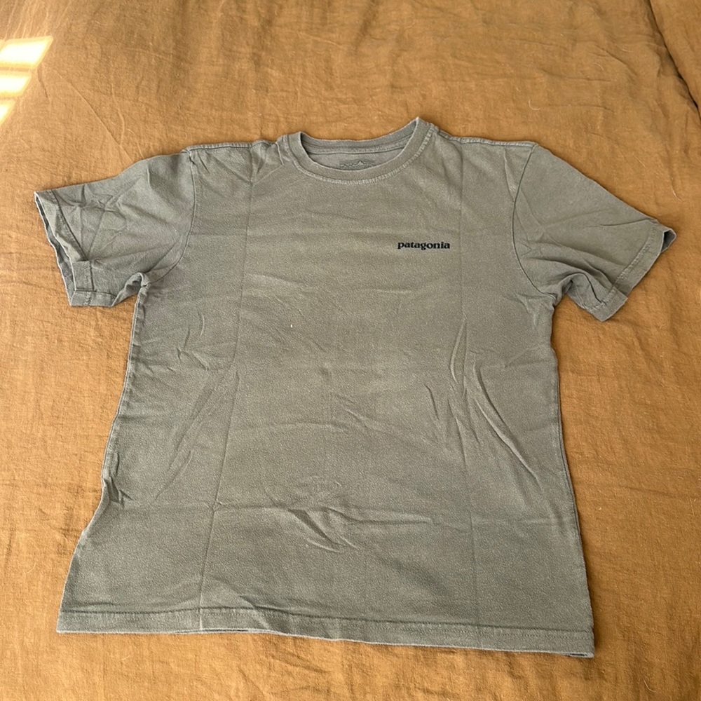 Patagonia Tshirt